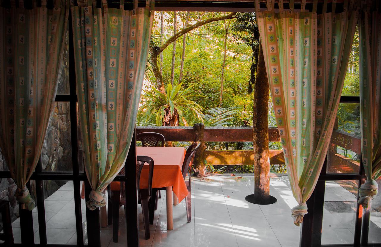 Forest Camp Resort Valencia  外观 照片